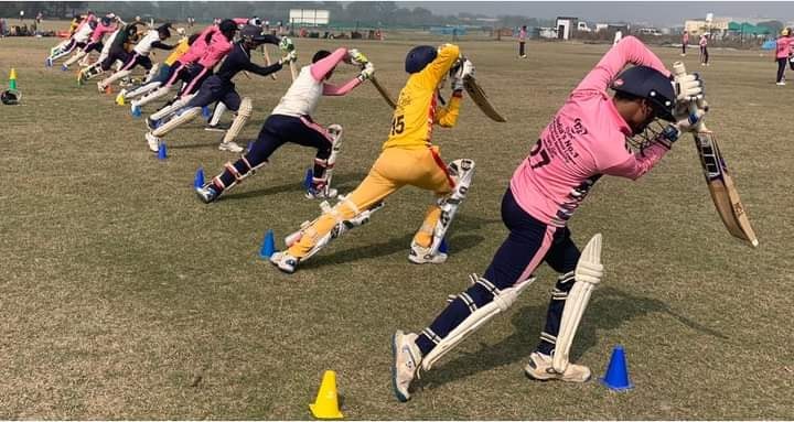 Cricket